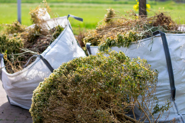 Best Yard Waste Removal  in Britton, SD