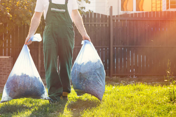 Best Dumpster Rental Services  in Britton, SD
